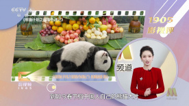 国产一区二区在线精品